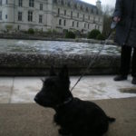 chenonceau 2