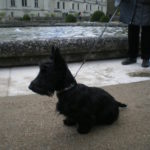 chenonceau 3