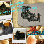 collage Dolly