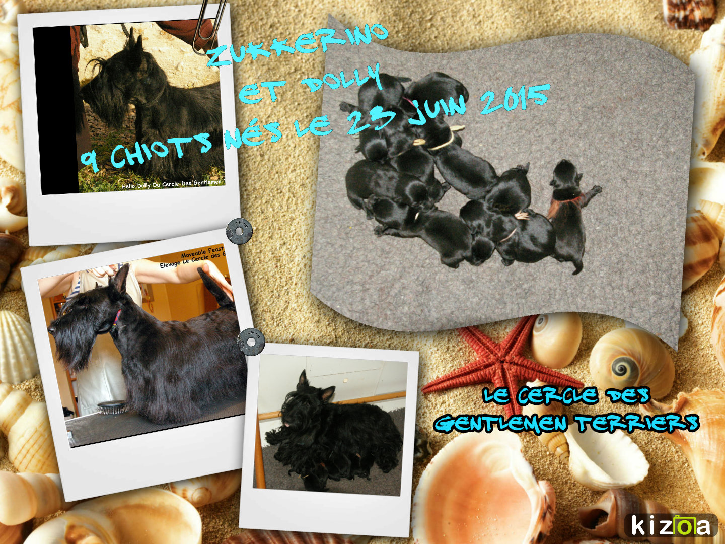 collage Dolly