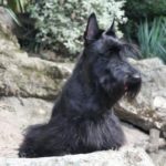 dolores_3ans
