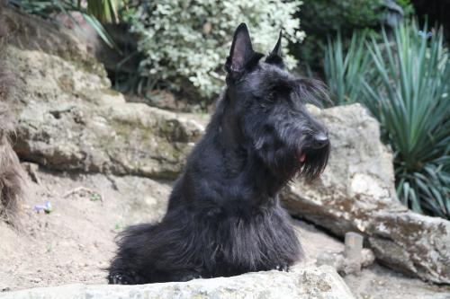 dolores_3ans