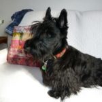 doug_2ans