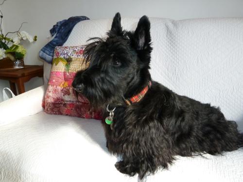 doug_2ans