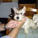 en_famille_069r