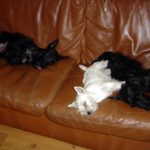 en_famille_073r