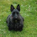 ewoks_9mois2