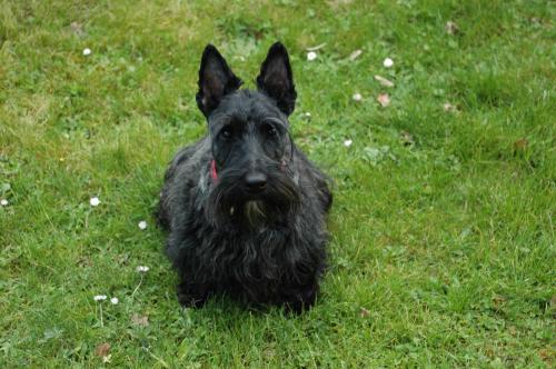 ewoks_9mois2