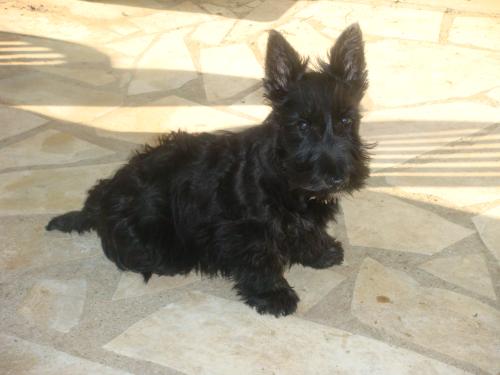 fanny10