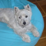 faustine2