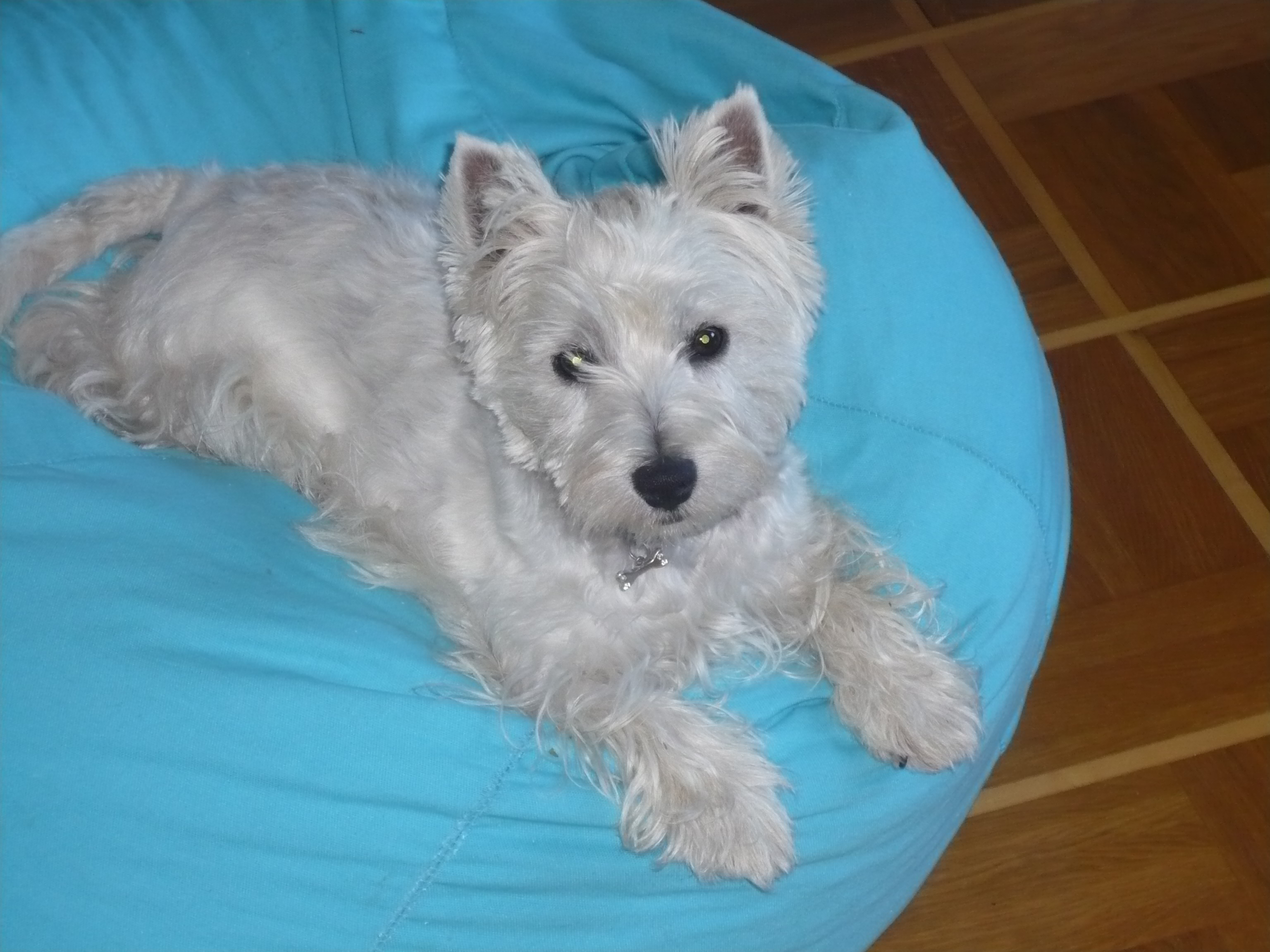faustine2