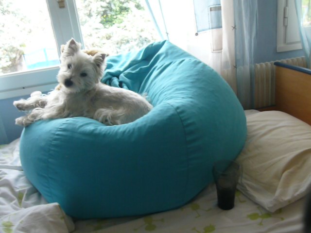 faustine3