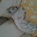 faustine9