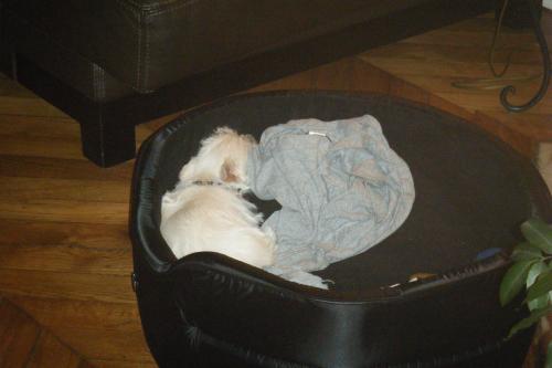 filou4