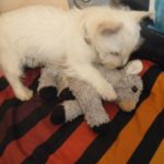 filou5