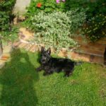 forster_5mois6