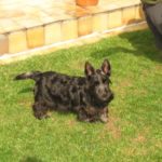 forster_5mois8