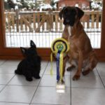 grace et dalia