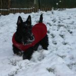 grace-neige2
