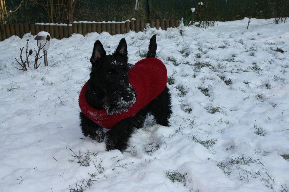grace-neige2