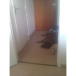 hawsteen_ bureau2