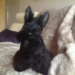iona