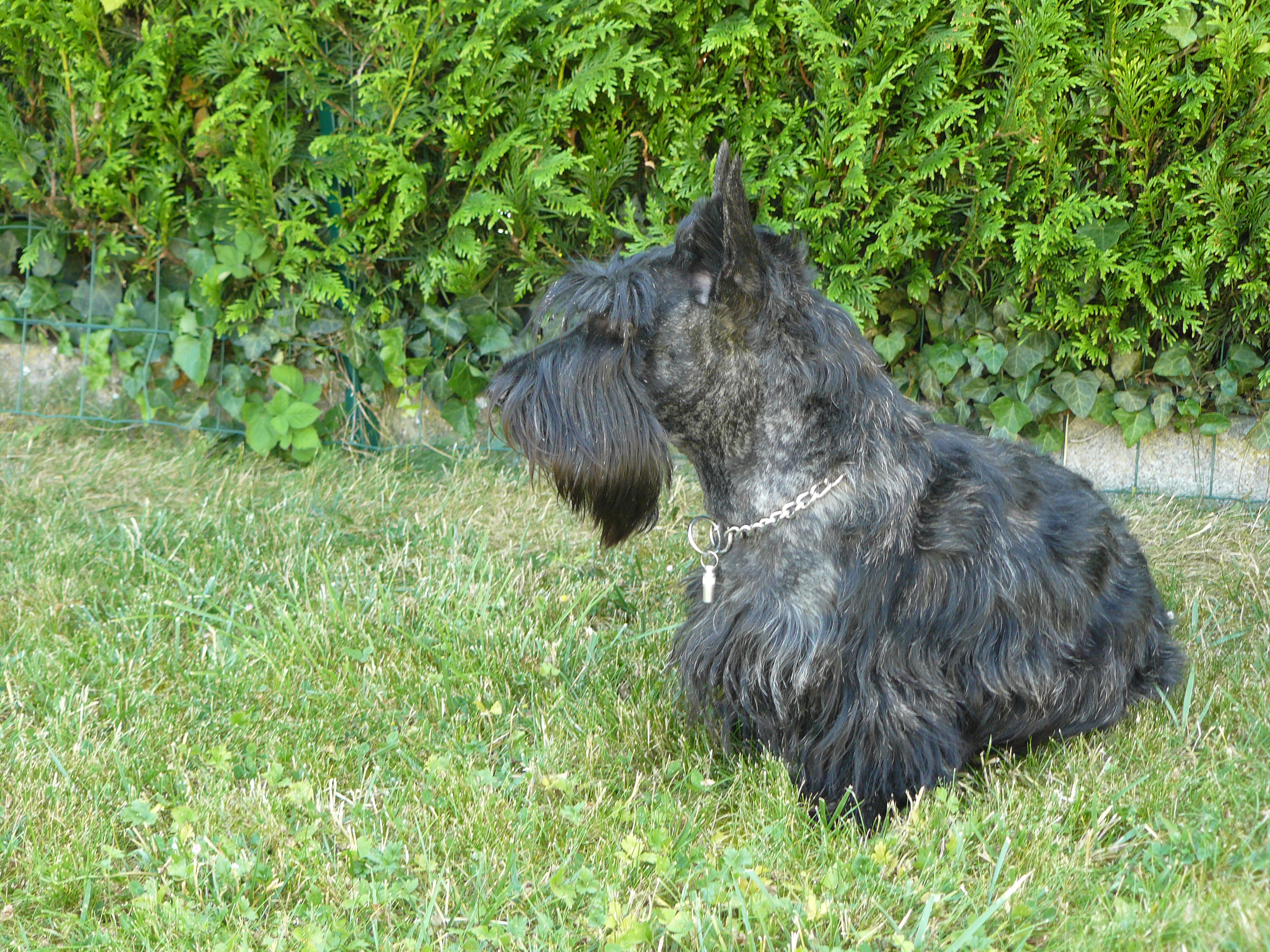 juin 2014 009