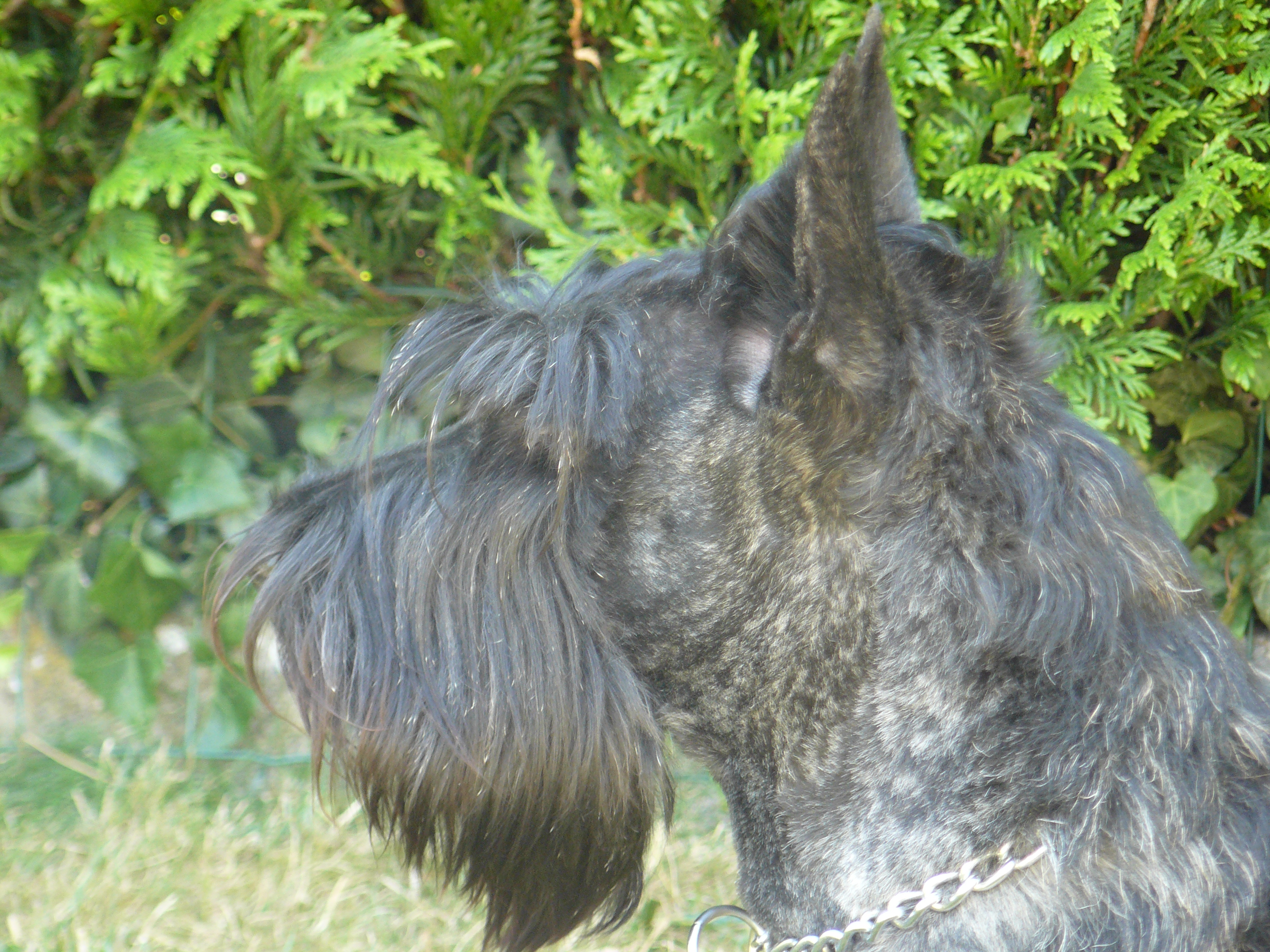 juin 2014 010