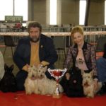 les_expos_034r