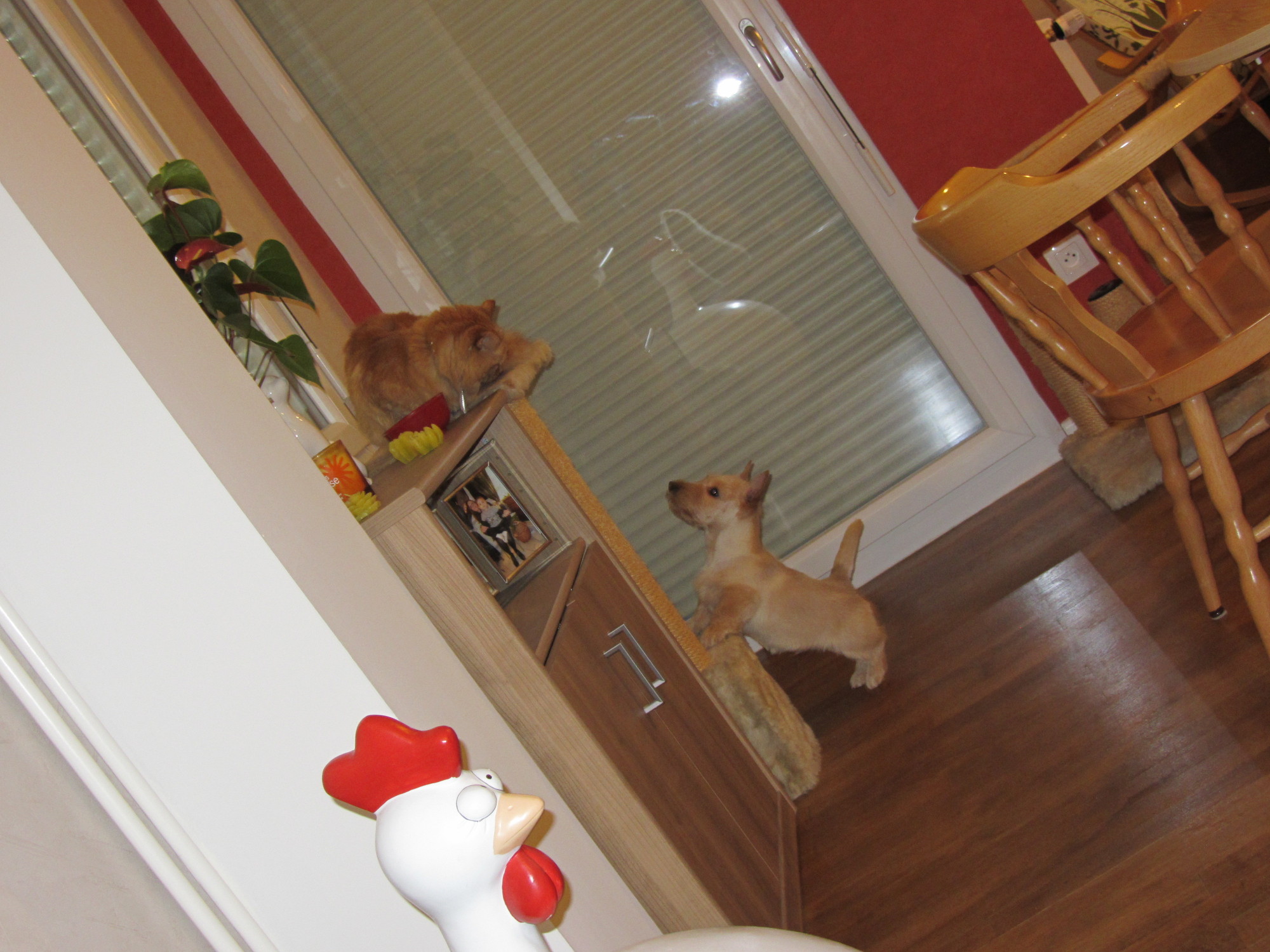oh un compagnon de jeu