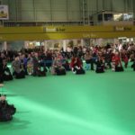 open class - 26 entries