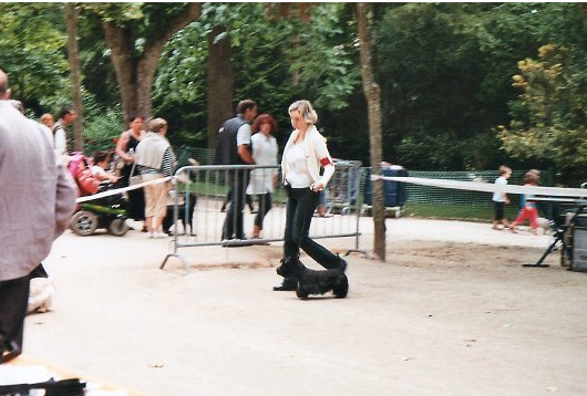 puyenvelat11