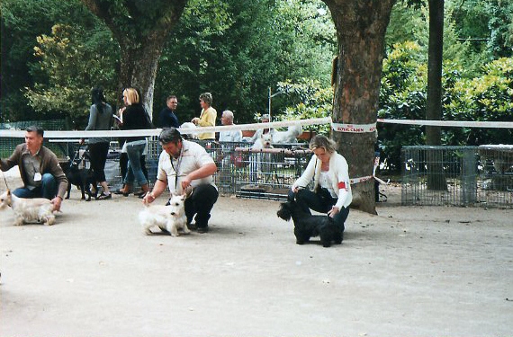 puyenvelay9