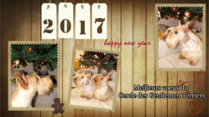 www.kizoa.com_collage_2016-12-23_19-37-48