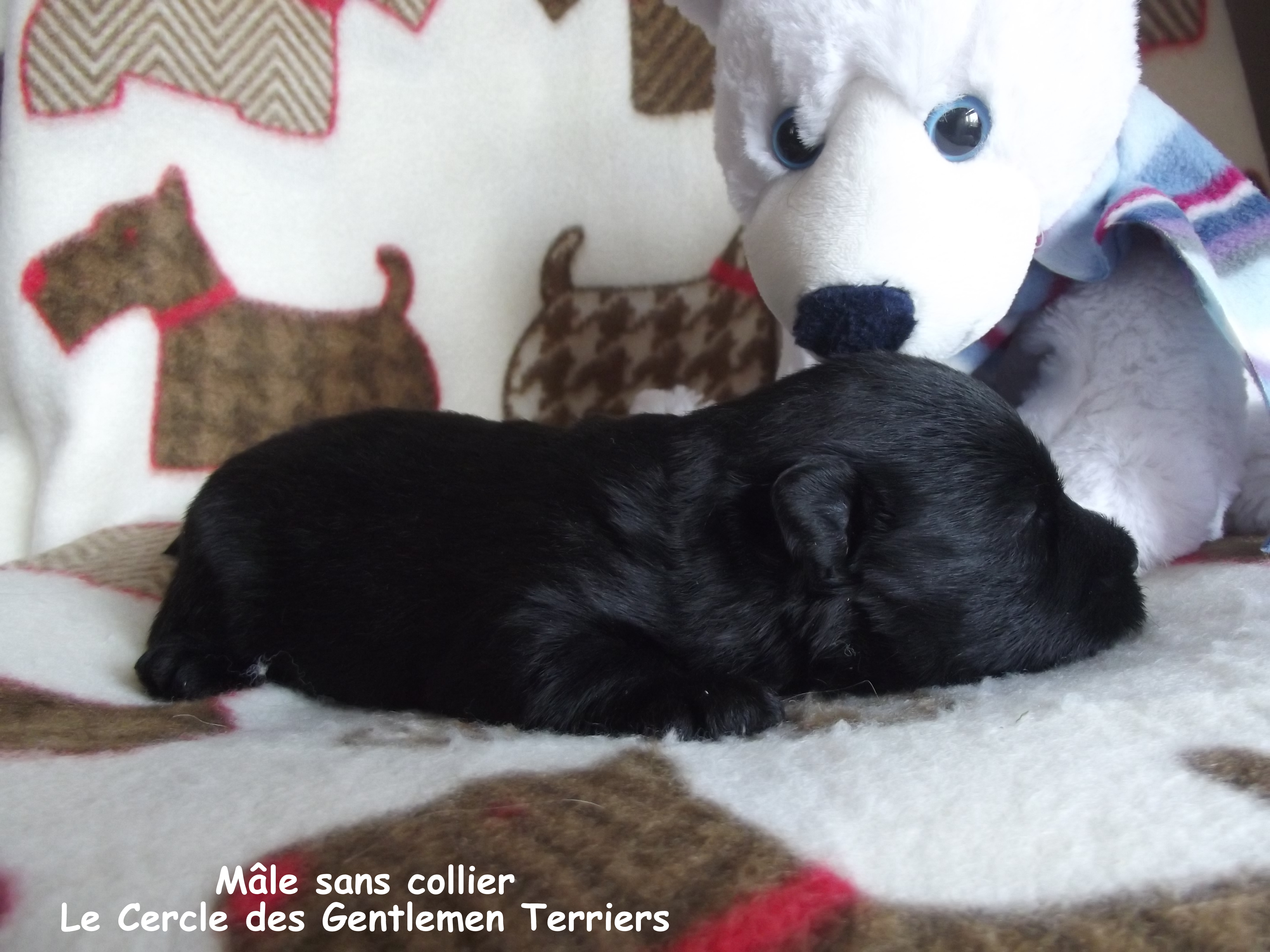20 jours