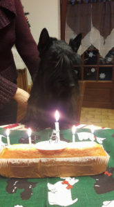5 ans 3