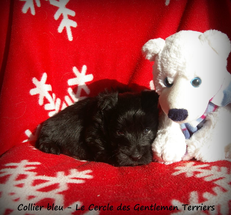 1 mois et 1 jour