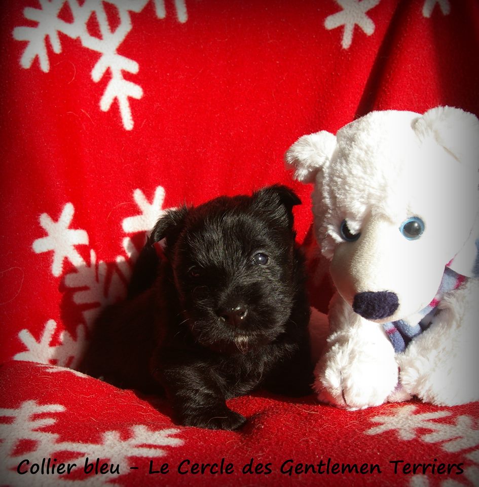 1 mois et 1 jour