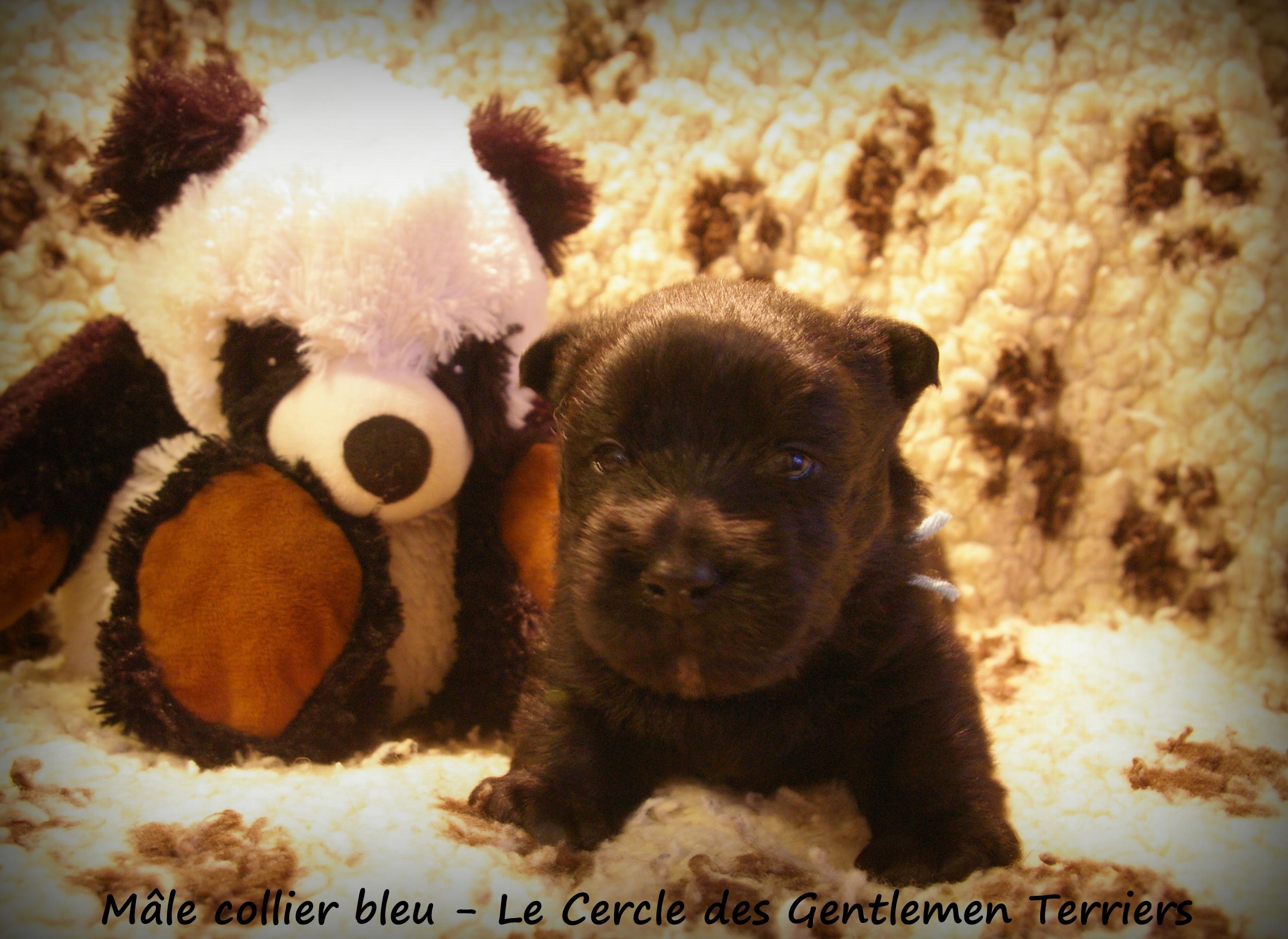 24 jours