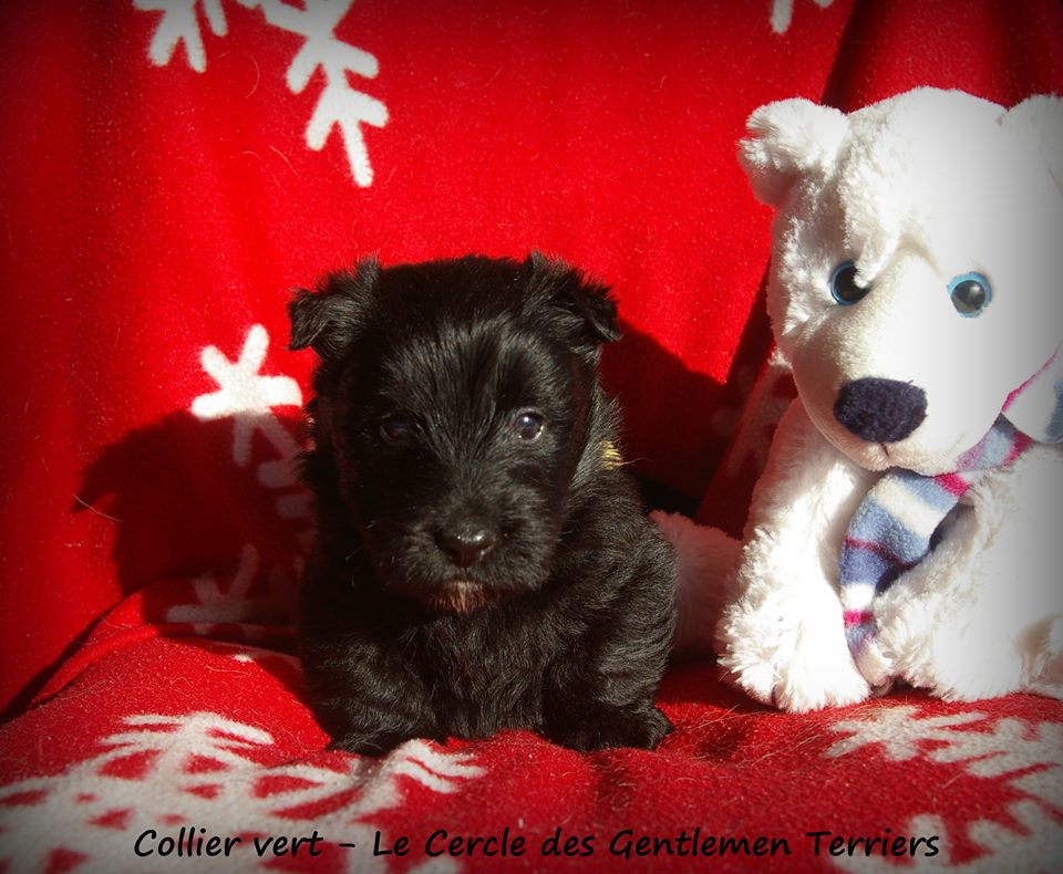 1 mois et 1 jour