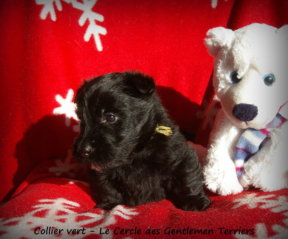 1 mois et 1 jour
