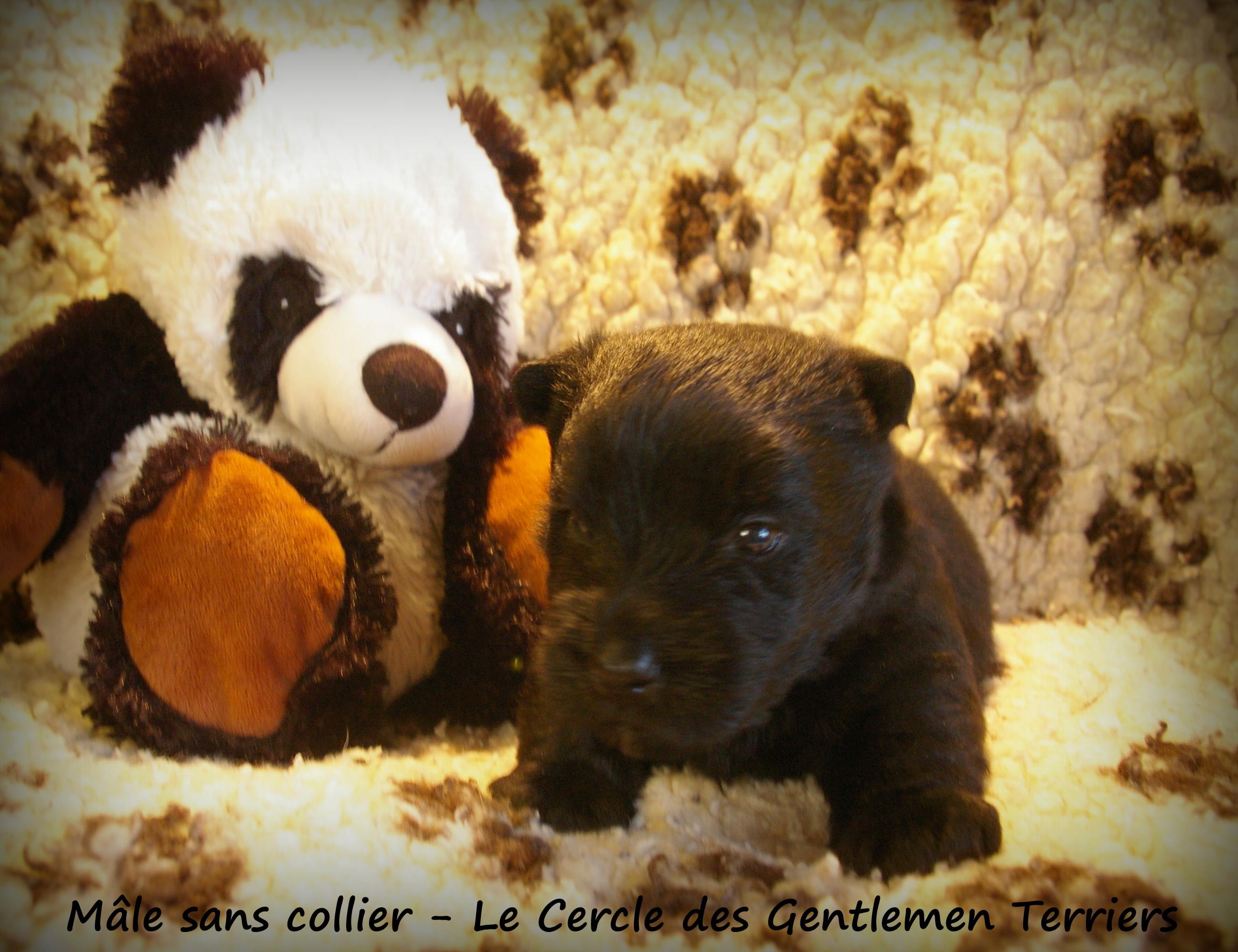 24 jours