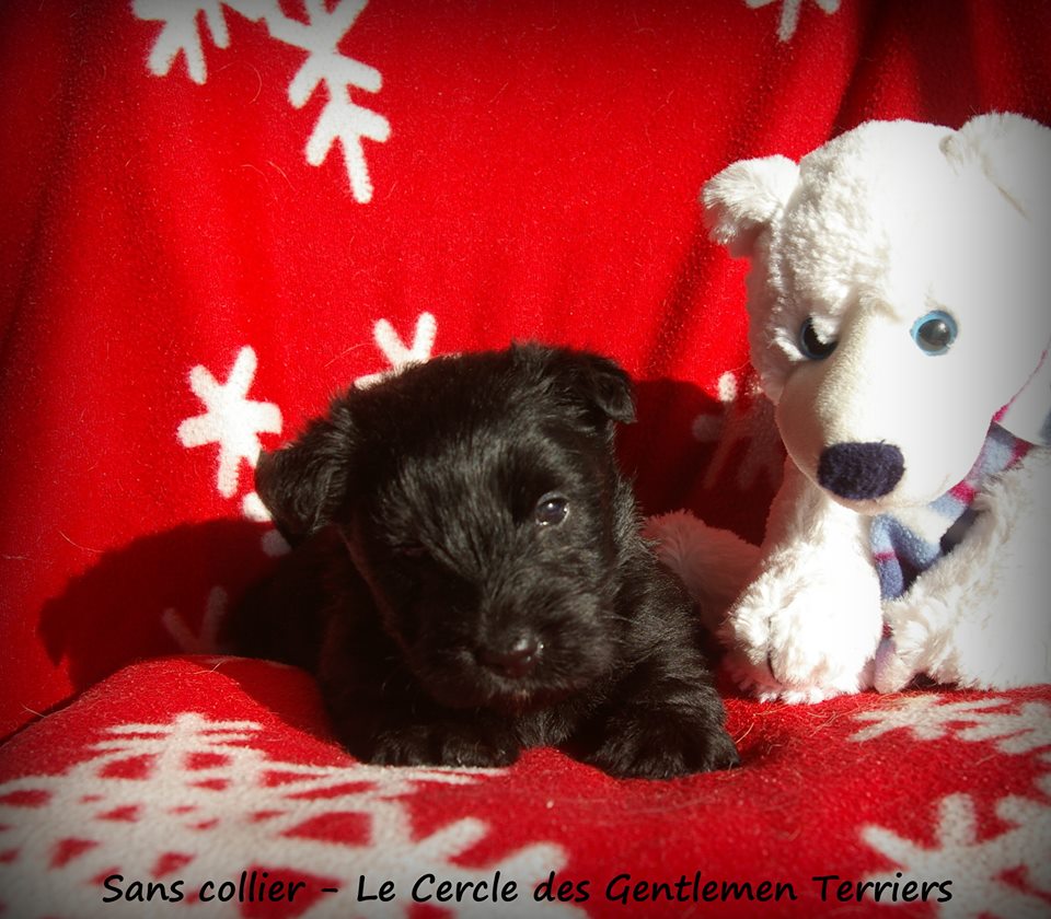 1 mois et 1 jour