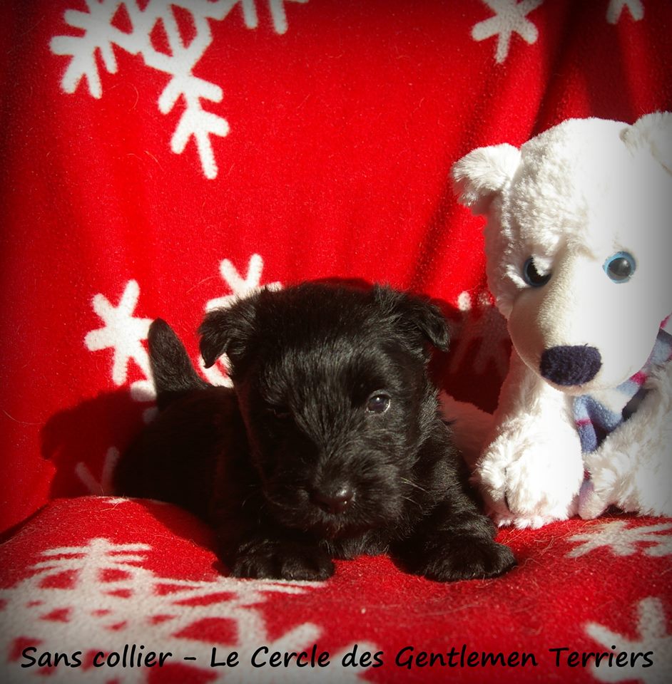 1 mois et 1 jours