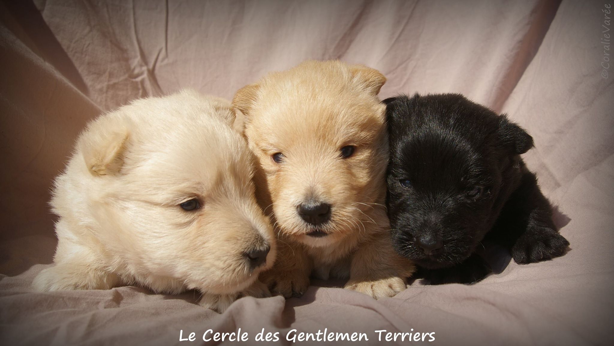 Presque 4 semaines !