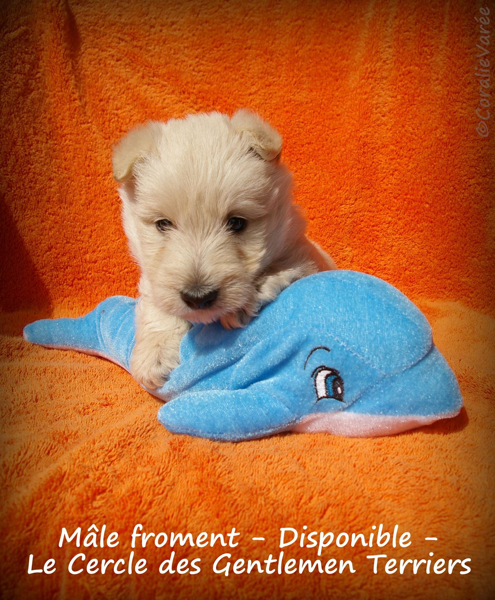 5 semaines et 2 jours !