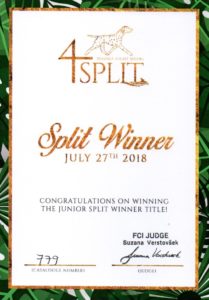 split winner2