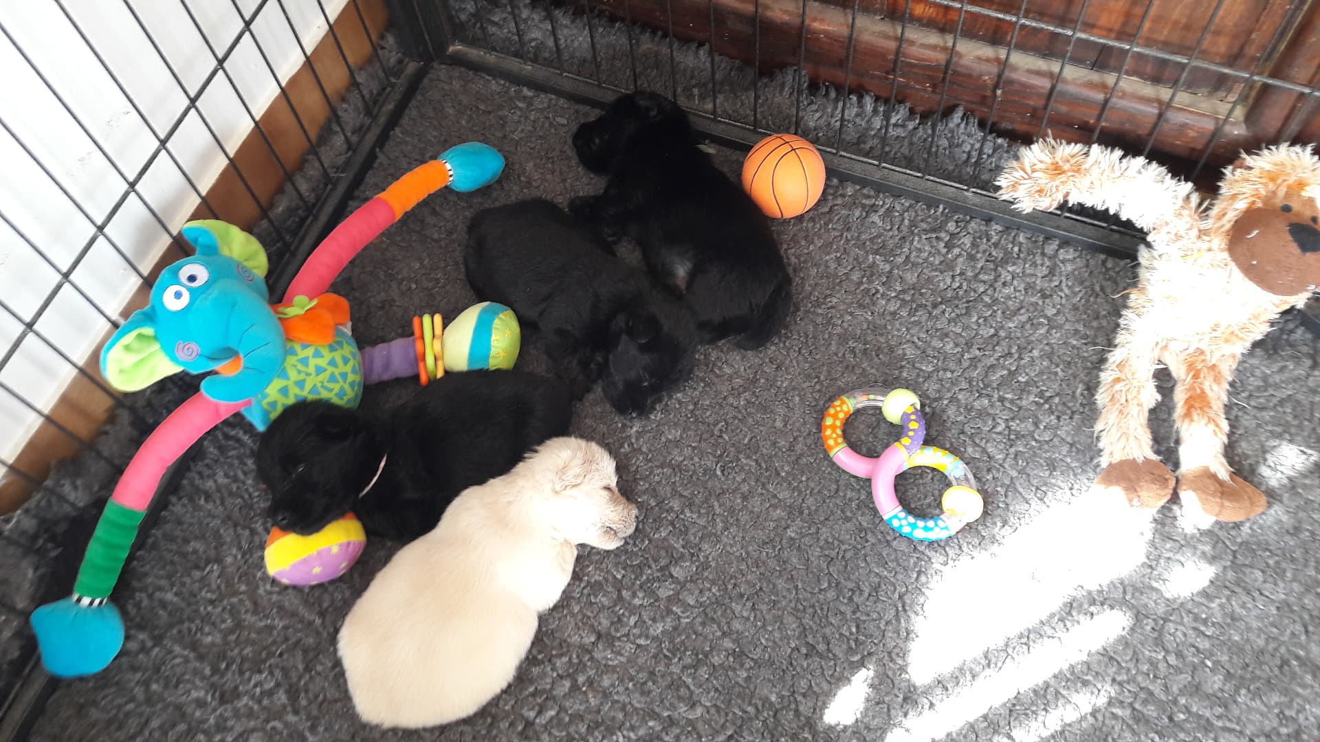 1 mois.