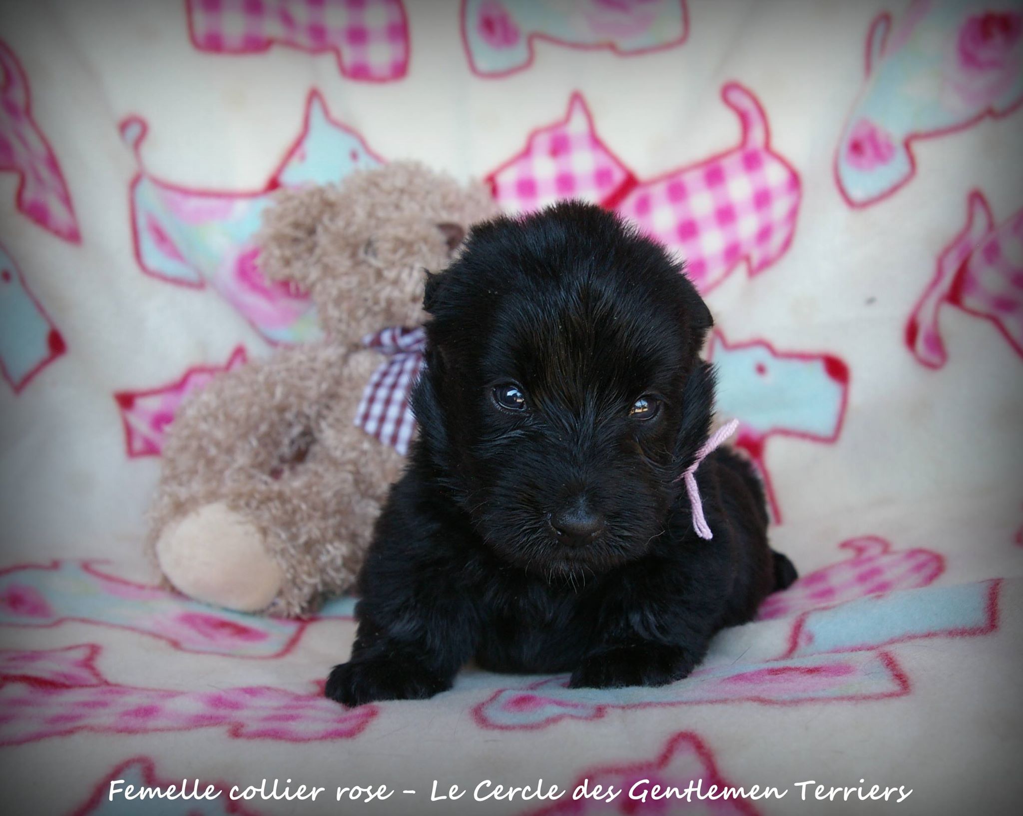 1 mois.