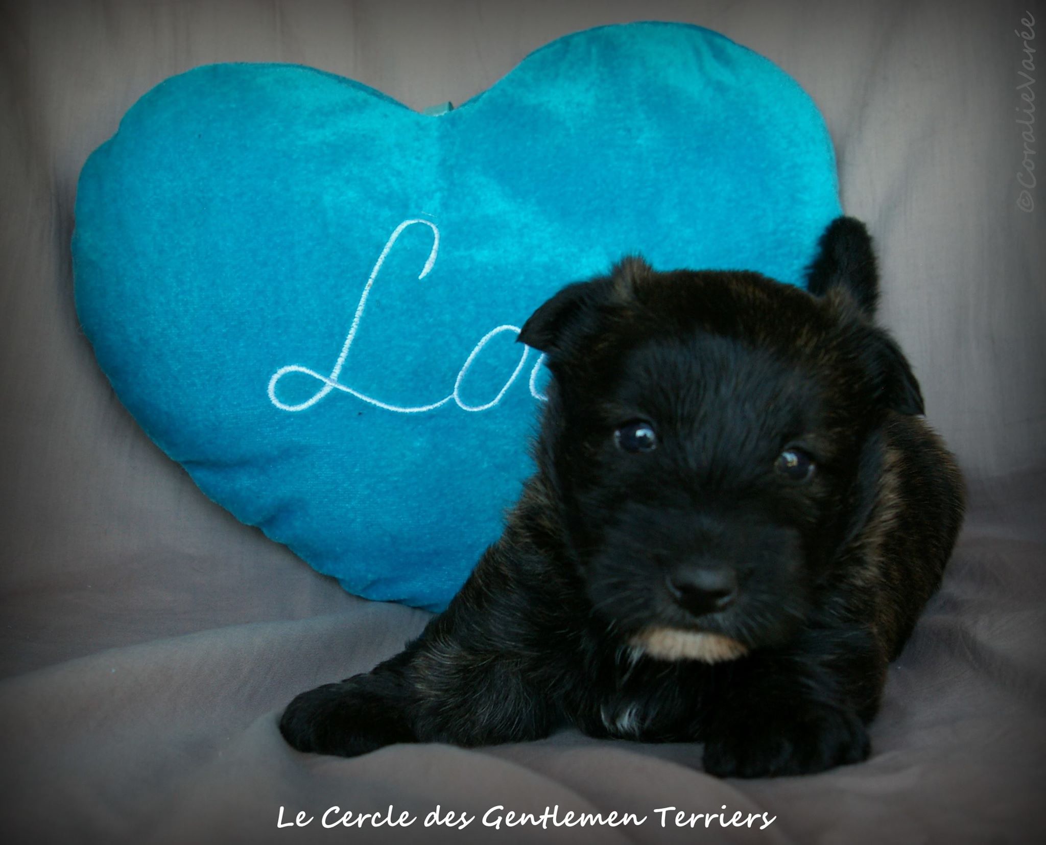 La fille.